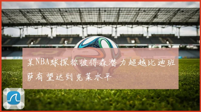 某NBA球探称彼得森潜力超越比迪班萨有望达到克莱水平